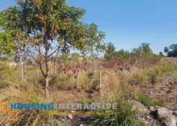 farm lot for sale in bacolod city, negros occidental