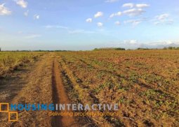 farm lot for sale in bacolod city, negros occidental