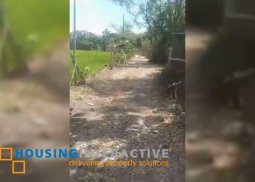 farm lot for sale in bacolod city, negros occidental