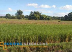3.4 hectare farm lot for sale in bago city, negros occidental