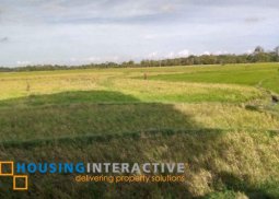 farm lot for sale in bacolod city, negros occidental