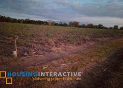 farm lot for sale in bacolod city, negros occidental