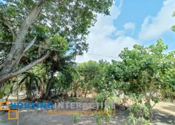 lot for sale in dumaguete city