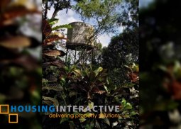 farm lot with big house for sale in antipolo city