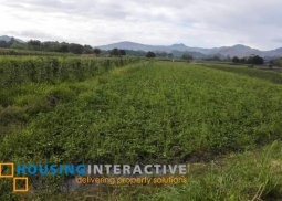 lot for sale in antipolo city