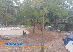 lot for sale in antipolo city