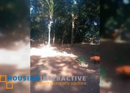 lot for sale in san isidro, antipolo city