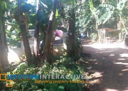 lot for sale in antipolo city