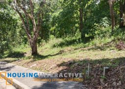 house and lot for sale in sun valley, lower antipolo