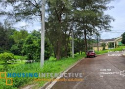 residential lot for sale in sun valley, antipolo city