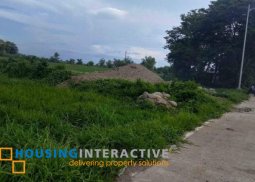 commercial lot for sale in bago city, negros occidental
