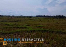 farm lot for sale in bago city, negros occidental