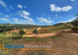 lot for sale in san mateo, rizal