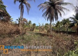 lot for sale in antipolo city