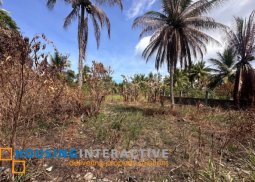 lot for sale in infanta, quezon
