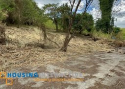 farm lot for sale in  sun valley estates, antipolo city