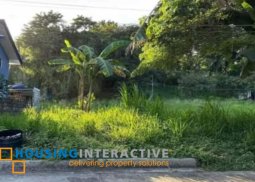 lot for sale in antipolo city