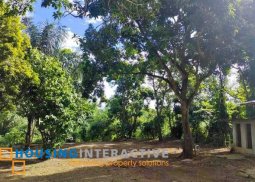 farm lot for sale in alfonso, cavite