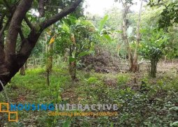 lot for sale in brgy. inarawan, antipolo city