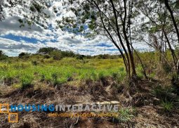 lot for sale in eastland heights, antipolo city