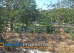 vacant lot for sale in south forbes golf city racha mansion, silang cavite