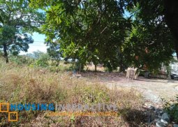 commercial property for sale in antipolo city