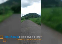 farm lot for sale in pontevedra, negros occidental