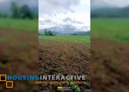 farm lot for sale in pontevedra, negros occidental