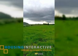 farm lot for sale in pontevedra, negros occidental