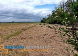 farm lot for sale in bago city, negros occidental
