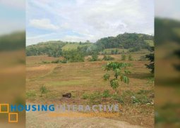 farm lot for sale in pontevedra, negros occidental