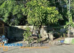 lot for sale in bacolod city, negros occidental