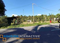 farm lot for sale in bacolod city, negros occidental