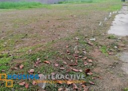 vacant lot - enclave alabang by filigree for sale