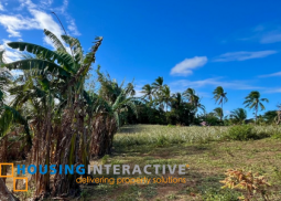 farm lots for sale in alfonso, cavite