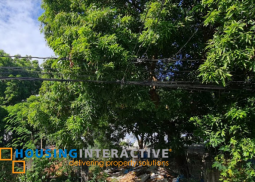 residential lot for sale in bf homes, paranaque