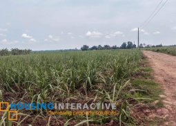farm lot for sale in bacolod city, negros occidental