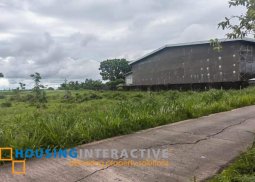lot for sale in bacolod city, neros occidental