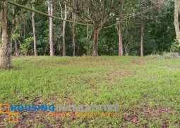 farm lot for sale in don salvador benedicto, negros occ.