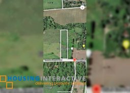 lot for sale in bacolod city, negros occidental