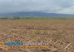 farm lot for sale in bacolod city, negros occidental