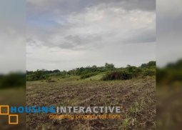farm lot for sale in sagay city, negros occidental