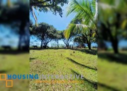 fruit farm lot for sale in bacolod city, negros occidental