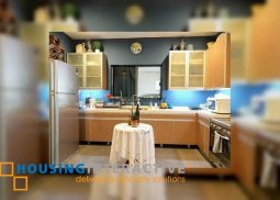 house and lot for sale in merville park village