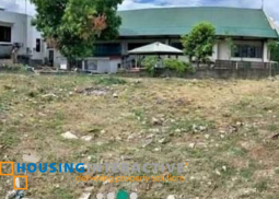 residential lot for sale in merville park village