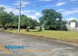 lot for sale in havila filinvest, sta. monica, antipolo city