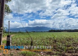 lot for sale in bacolod city, negros occ.