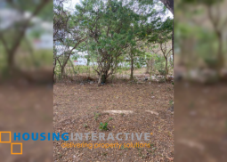 lot for sale in dasmarinas, cavite