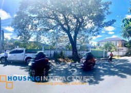 commercial lot for sale along elizalde ave paranaque city