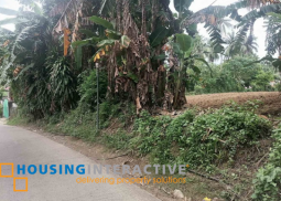vacant lot for sale in calle san jose, brgy. iba, batangas